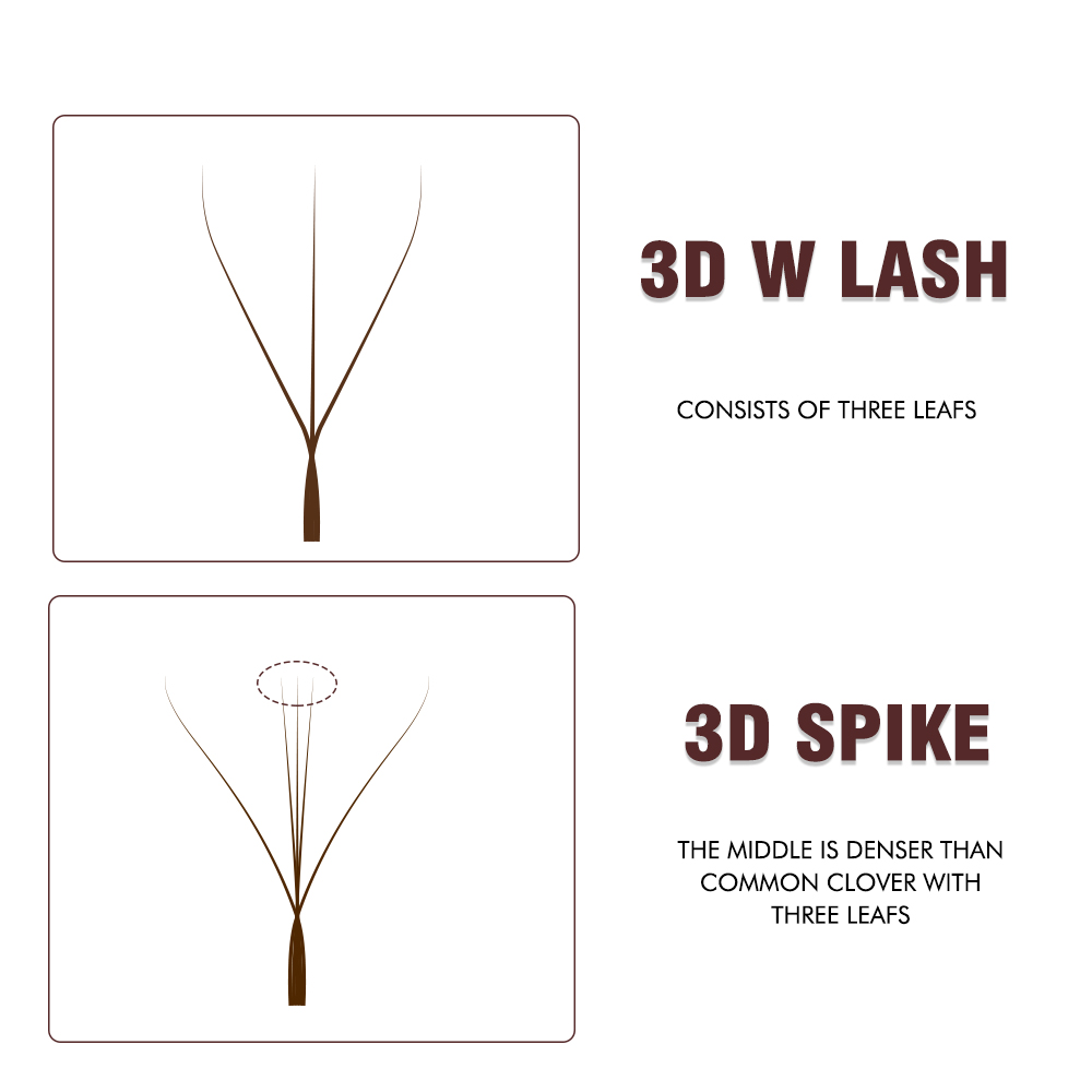 رموش AGUUD L M بنية على شكل W  - مراجعة Eyelash Extension Yelix وسعره